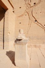 Sphinx and relief of Ptolemy XII, Temple of Philae, UNESCO World Heritage Site, Agilkia Island,