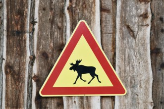 Elk warning sign, Sweden, Scandinavia