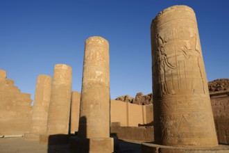 Columns with reliefs, double temple of Kom Ombo, Kom Ombo, Egypt
