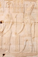 Relief of the goddess Seschat and the falcon-headed god of light and sky Haroeris, double temple of