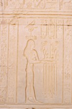 Relief at the double temple of Kom Ombo, Kom Ombo, Egypt