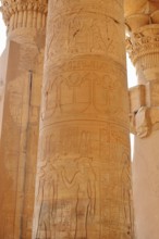 Column with relief, double temple of Kom Ombo, Kom Ombo, Egypt