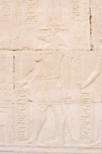 Relief of the crocodile god Sobek, double temple of Kom Ombo, Kom Ombo, Egypt