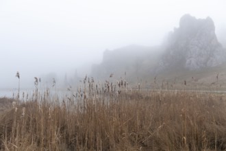Spring 2026: Mystic morning fog surrounding the Stone Virgins (Steinerne Jungfrauen) rock formation