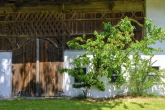 Alter Stadel mit Bundwerk, am Seeoner See, Seeon, Chiemgau, Upper Bavaria, Bavaria, Germany