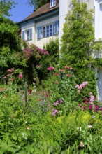 Blumengarten, Häuser am Seeoner See, vineyard, Seeon, Chiemgau, Upper Bavaria, Bavaria, Germany