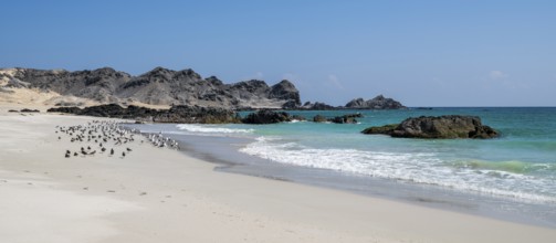 White sandy beach, secluded bay, turquoise blue sea, Omabn