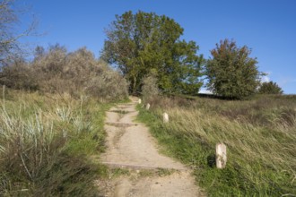 Trail above the steep coast, Hochuferweg, autumn colors, Klein Zicker, Mönchgut, Rügen island,