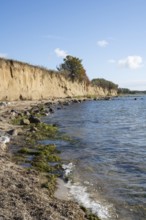 Cliffs on the shores of the Baltic Sea, autumn colors, Klein Zicker, Mönchgut, Rügen island, Baltic