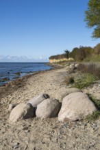 Boulders on the banks of the Saal, tourists on the coast, cliffs, Klein Zicker, Mönchgut, Rügen