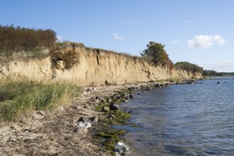 Cliffs on the shores of the Baltic Sea, autumn colors, Klein Zicker, Mönchgut, Rügen island, Baltic