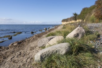 Boulders on the banks of the Saal, cliffs, Klein Zicker, Mönchgut, Rügen island, Baltic Sea,