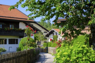 Bauernhöfe, Seebruck am Chiemsee, Chiemgau, Upper Bavaria, Bavaria, Germany