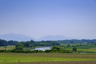 Alz between Seebruck and Truchtlaching, Chiemgau, Upper Bavaria, Bavaria, Germany