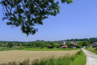 Truchtlaching, Chiemgau, Upper Bavaria, Bavaria, Germany