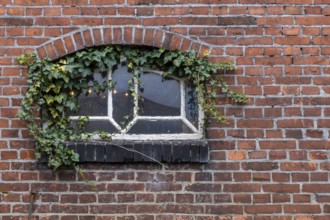 Weathered window in a brick wall surrounded by ivy and plants, North Rhine-Westphalia, Germany