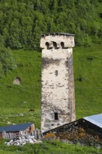 A single stone tower in a green mountainous landscape, defensive towers, Ushguli, Murqmeli