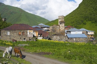 Two horses stand in front of traditional stone buildings in a mountain village, defensive towers,