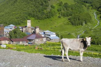 A cow stands in front of a mountain village with traditional buildings in a hilly landscape,