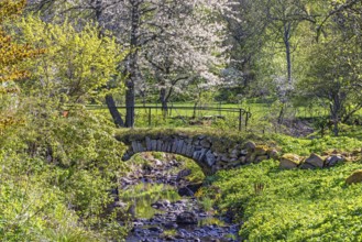 Old arch bridge over a stream in a lush green meadow landscape a sunny spring day, Sweden