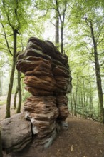Sandstone rocks, near Hinterweidenthal, Dahner Felsenland, Palatinate Forest, Rhineland-Palatinate,