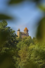 Burg Berwartstein, Erlenbach, Palatinate Forest, Rhineland-Palatinate, Germany