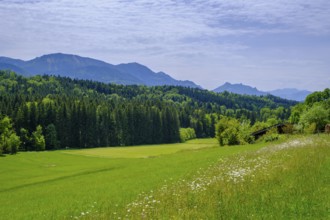 View of the Chiemgau Mountains, from Brandenberg near Wildenwart, Frasdorf, Chiemgau, Upper