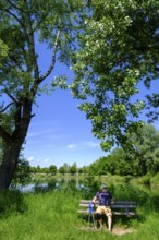 Rest Bench, Bank, Ruhebank am Erlensee, Erlensee, near Schechen, Upper Bavaria, Bavaria, Germany
