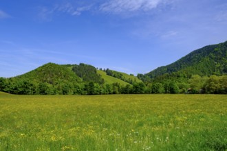 Hintergschwendt bei Bernau unter der Kampenwand, Chiemgau, Upper Bavaria, Bavaria, Germany