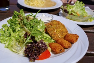 Vegetarian dish, potato wedges with salad, food, Seiser Alm, Seiserhof, bei Bernau über dem