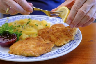 Wiener Schnitzel, food, Erlebnisgaststätte Erlensee, near Schechen, Upper Bavaria, Bavaria, Germany