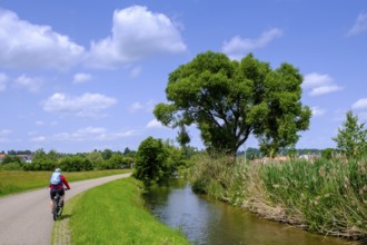 Cyclist, bicycle tour near Gutenzell an der Rot, Rottal, Upper Swabia, Baden-Württemberg, Germany