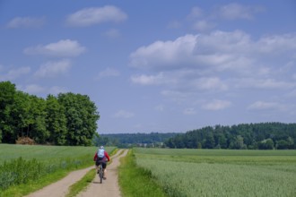 Cyclist, bicycle tour, near Berkheim, Rottal, Upper Swabia, Baden-Württemberg, Germany