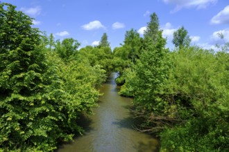 River Rot near Edelbeuern, Rottal, Upper Swabia, Baden-Württemberg, Germany