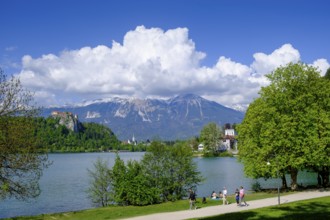 Bled Castle, above Bled, Lake Bled, Slovenia