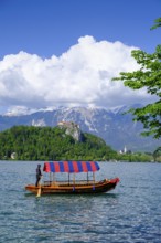 Bled Castle, above Bled, Lake Bled, Slovenia