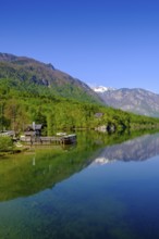 Bohinjsko jezero, Lake Bohinj, Upper Carniola, Slovenia