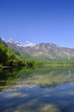 Westende, lakeside, Bohinjsko jezero, Lake Wochein, Bohinj, Upper Carniola, Slovenia