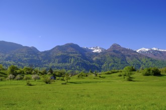 Pastures near Bohinjska Bistrica, Bohinj, Upper Carniola, Slovenia