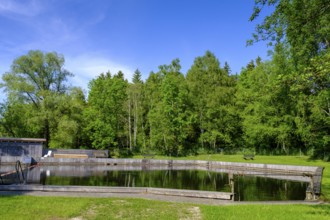 Freibad, Aschau, Chiemgau, Upper Bavaria, Bavaria, Germany