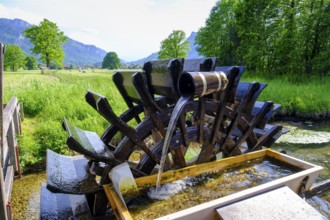 Wasserrad am Naturerlebnispfad, Aschau, Chiemgau, Upper Bavaria, Bavaria, Germany