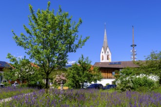 Pfarrkirche Sankt Rupert, Amerang, Chiemgau, Upper Bavaria, Bavaria, Germany