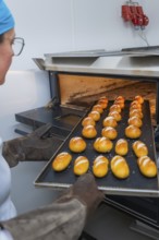 Baker holds a tray filled with evenly baked rolls, bake rolls, Haselstaller Hof, Gechingen, Germany