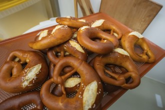 Fresh golden brown pretzels with salt on a baking mat, bake rolls, Haselstaller Hof, Gechingen,