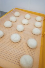 White dough balls on orange baking tray in a kitchen, baking rolls, Haselstaller Hof, Gechingen,