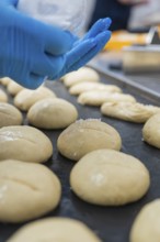 Baker covers dough pieces with white matter, bake rolls, Haselstaller Hof, Gechingen, Germany