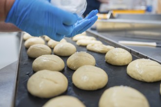 Close-up view of dough rolls on a conveyor belt, Haselstaller Hof, Gechingen, Germany