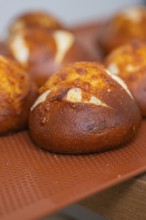 Close-up of freshly baked rolls with golden brown crust, baking rolls, Haselstaller Hof, Gechingen,