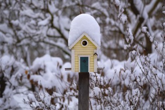 Snowy Scandinavian birdhouse, birdhouses in winter, Stuttgart, Baden-Württemberg, Germany