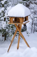Snowy birdhouse, in winter, Stuttgart, Baden-Württemberg, Germany